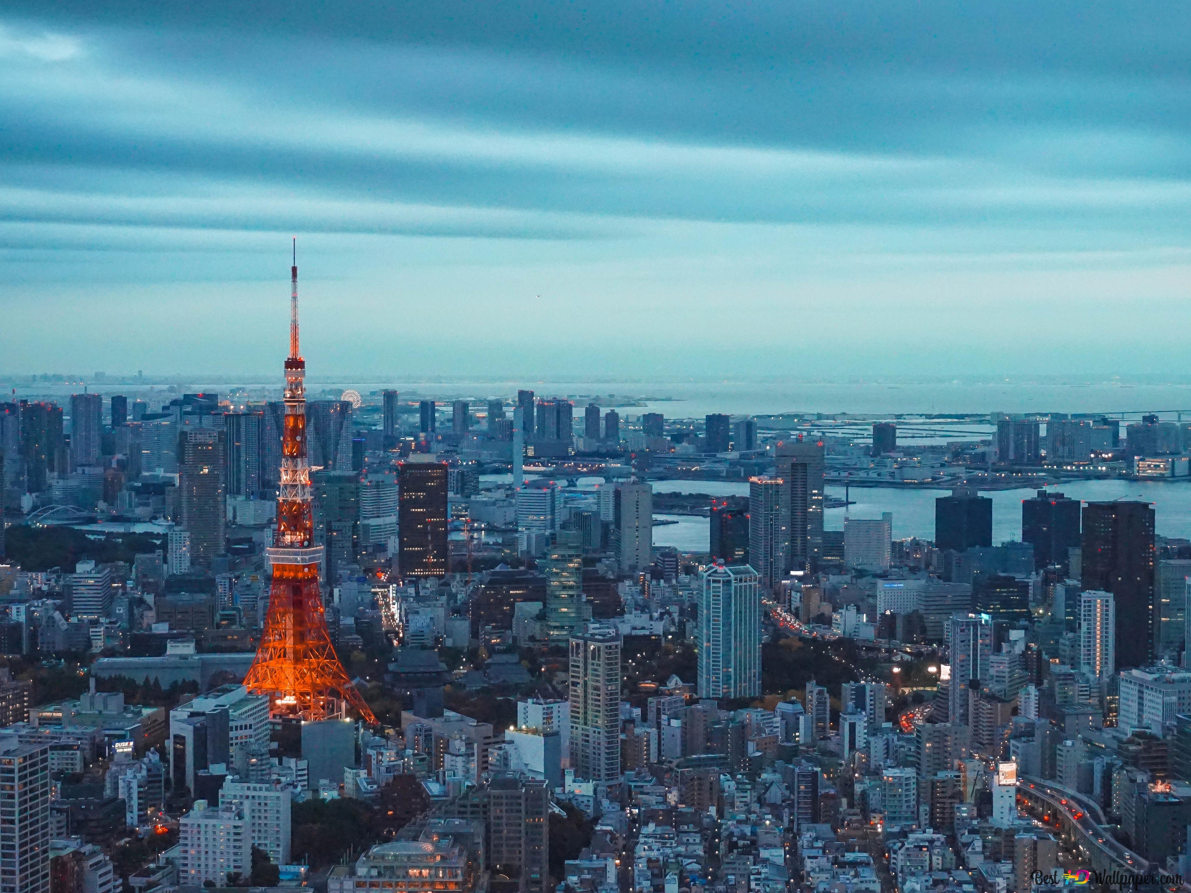 GENERAL, FAMILY & SOCIAL